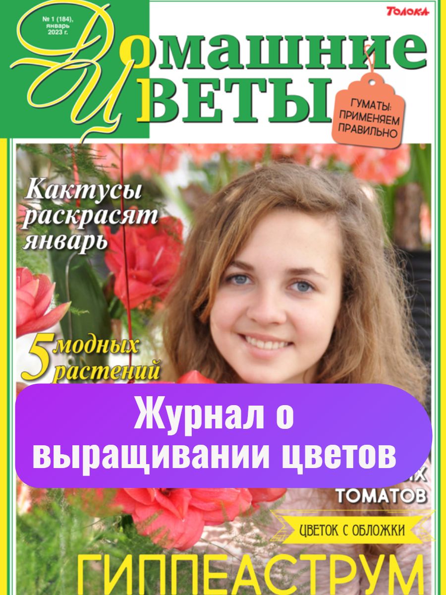 Журнал Домашние цветы №1/23 О выращивании цветов, комнатное садоводство,  энциклопедия цветовода, 5 модных растений в 2023 году, раскрашиваем свой  январь кактусами, подбираем лечение для томатов - купить с доставкой по  выгодным ценам