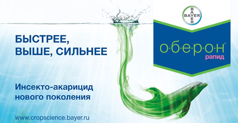 Оберон рапид как разводить. Оберон Рапид. Оберон препарат. Оберон акарицид. Оберон инструкция.