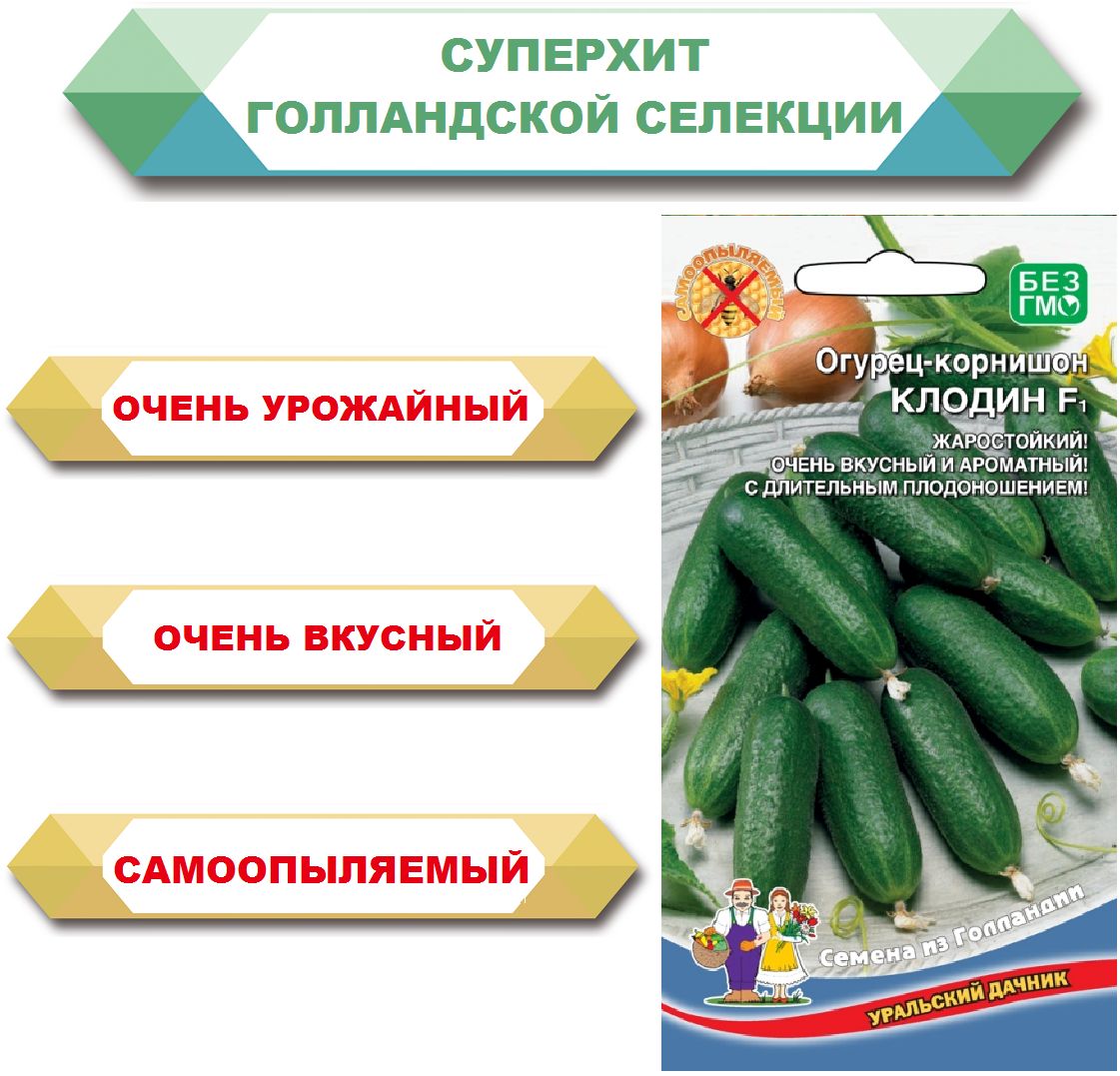Семена Огурцы Уральский Дачник Купить