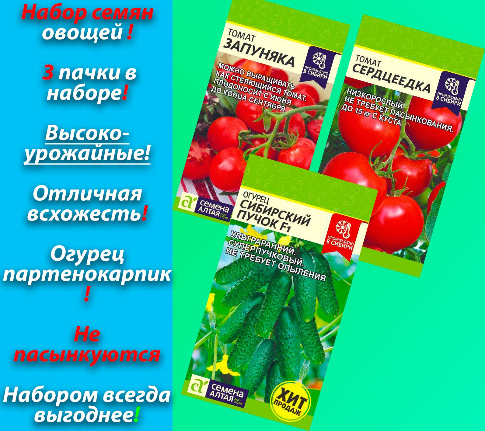 Помидоры запуняка описание сорта фото отзывы. Томаты Запуняка Алтайские семена. Томат Запуняка описание. Характеристика и описание томата Запуняка. Запуняка томат описание отзывы.