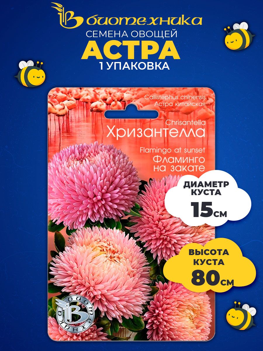 Хризантелла фламинго на закате. Хризантелла фламинго на закате