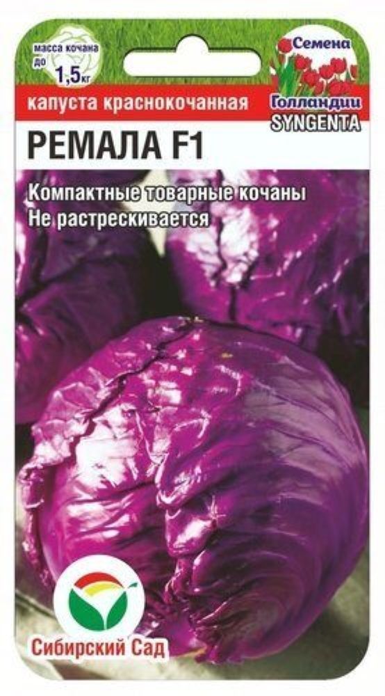 Краснокочанная Капуста Семена Купить