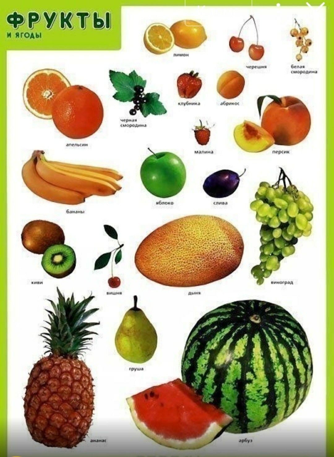 Есть фрукт на н. Плакат. Фрукты. Фрукты плакат для детей. Развивающие плакаты для детей. Плакаты овощи и фрукты для детей.