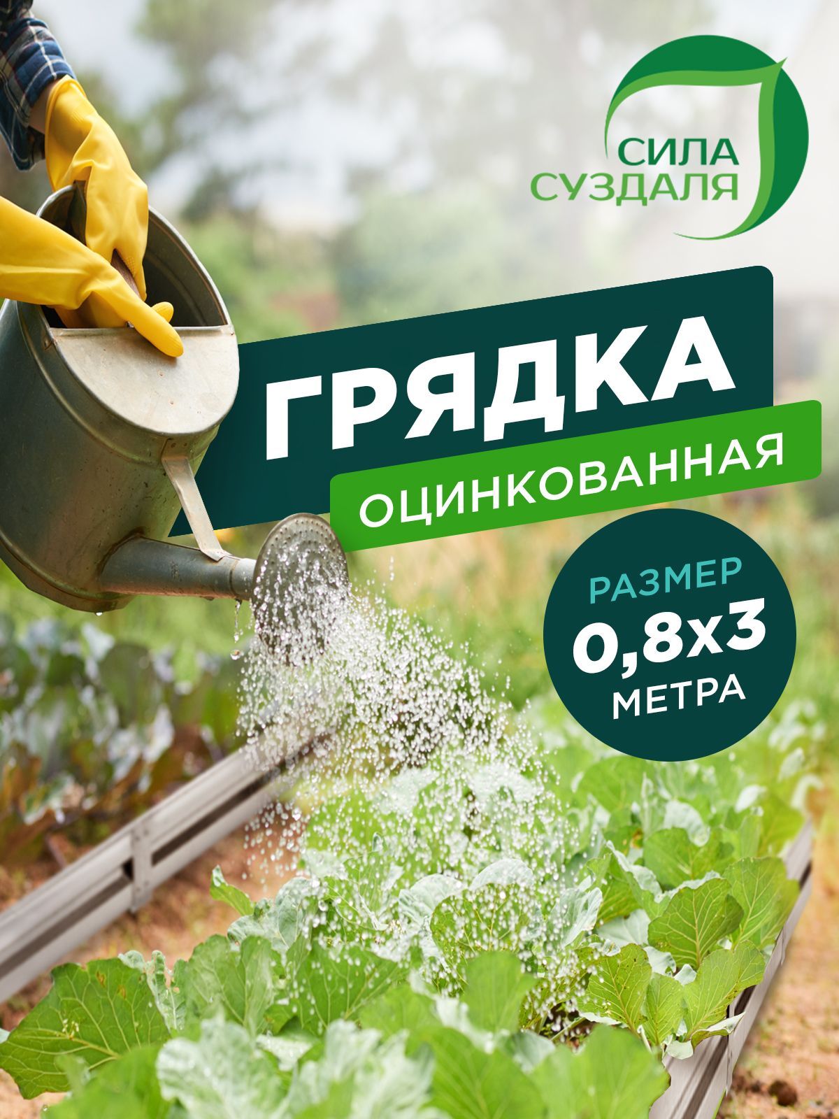 Огород с грядками для детей. Лекарственные растения в огороде. Грядки сверху. Декоративный огород. Лекарственные растения на грядке.