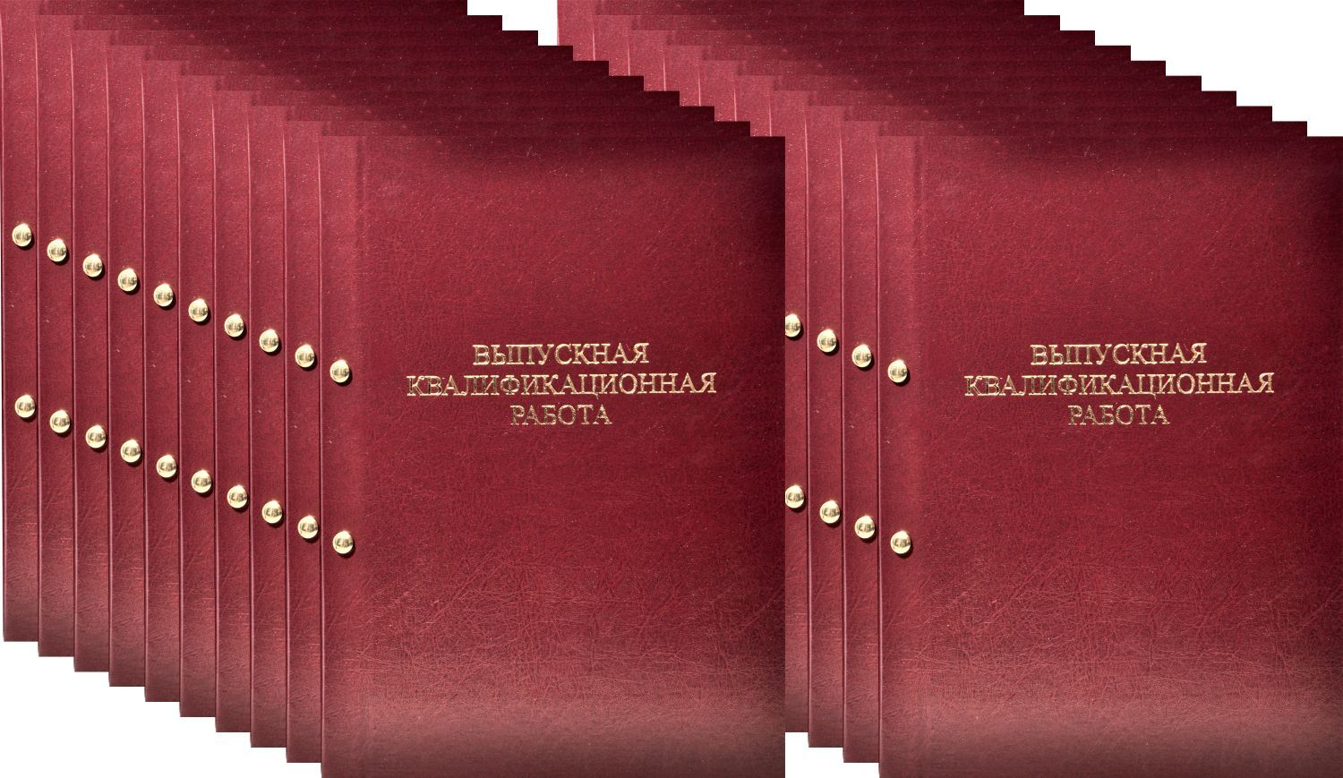 Папка для Выпускной квалификационной работы с конвертом для CD. Переплет на  винты. 20шт - купить с доставкой по выгодным ценам в интернет-магазине OZON  (889750711)