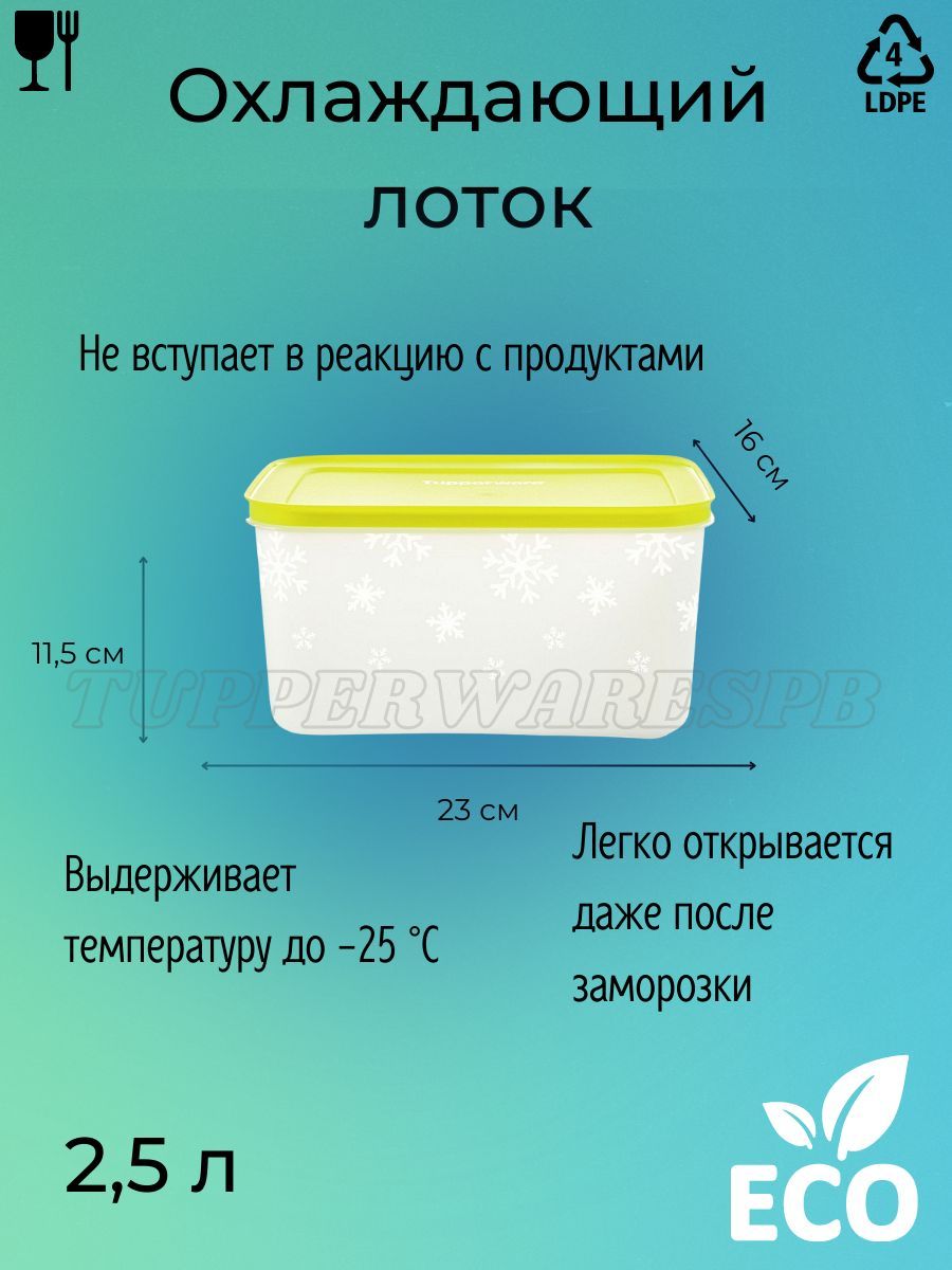 Tupperware Контейнер 2000 – купить в интернет-магазине OZON по выгодной ...