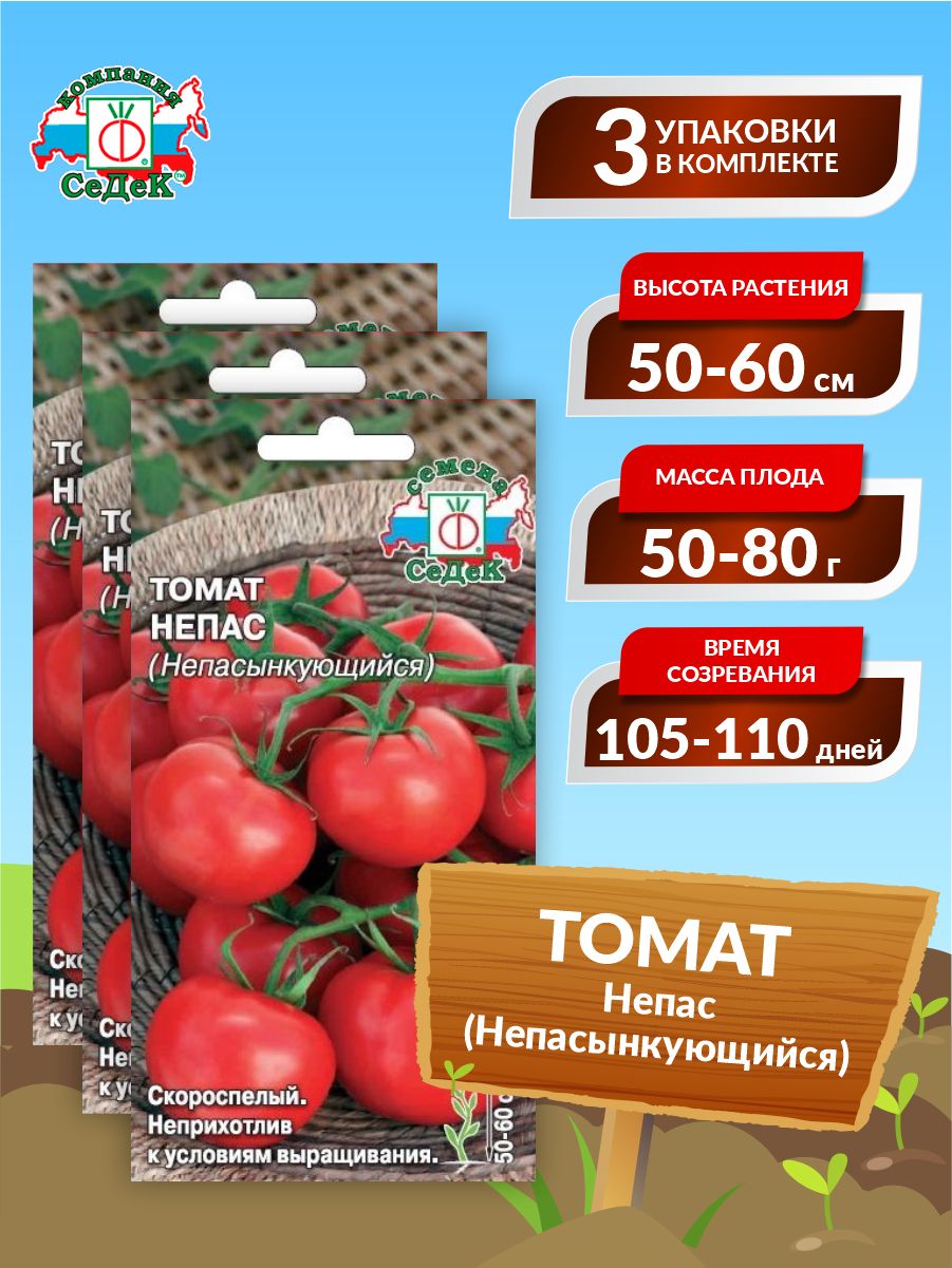 Томаты Седек томат - купить по выгодным ценам в интернет-магазине OZON(885952548)