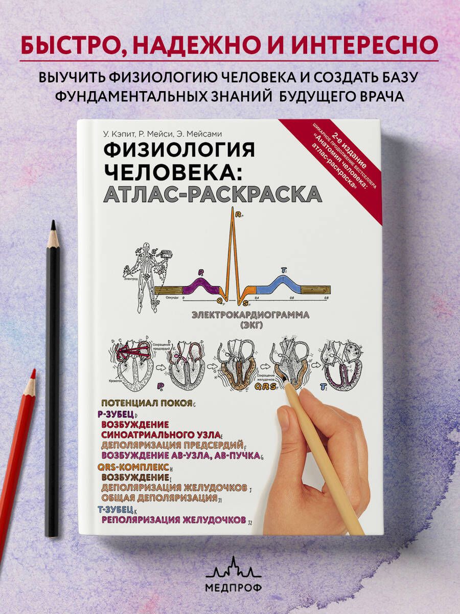 Книга Эксмо Анатомия человека атлас-раскраска купить по цене ₽ в интернет-магазине Детский мир