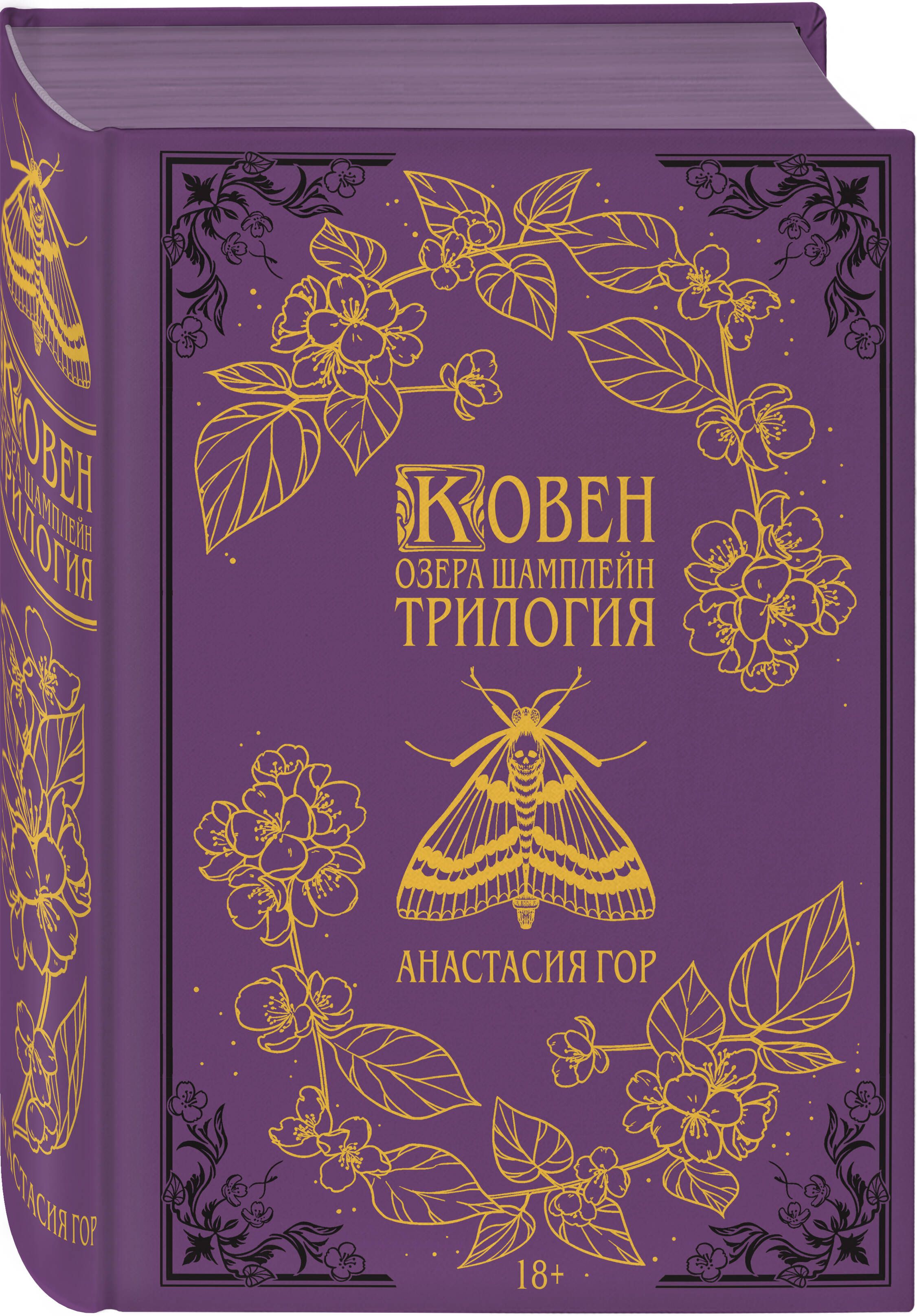 Ковен озера Шамплейн. Трилогия | Гор Анастасия - купить с доставкой по  выгодным ценам в интернет-магазине OZON (798952426)