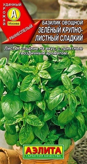 БАЗИЛИК ЗЕЛЕНЫЙ КРУПНОЛИСТНЫЙ СЛАДКИЙ. Семена. Вес 0,3 гр. Раннеспелый сорт. Аэлита