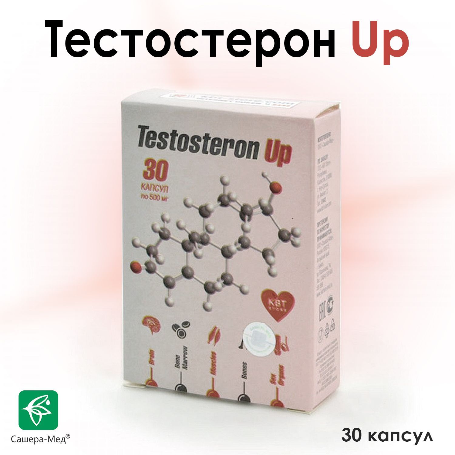 Тестостерон Ап /Курс тестостерона /Testosteron Up Сашера-Мед 30 капсул -  купить с доставкой по выгодным ценам в интернет-магазине OZON (536618568)