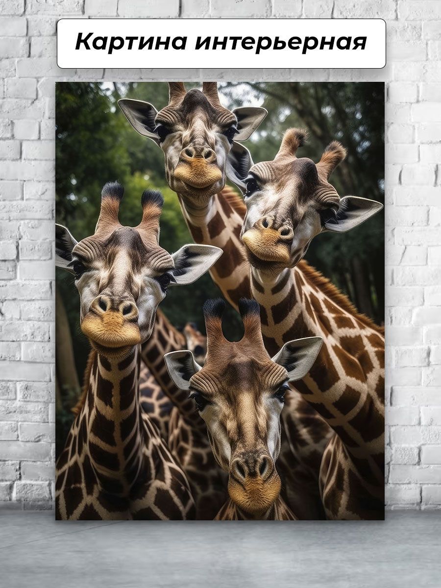 Фотошторы Силуэты жирафов