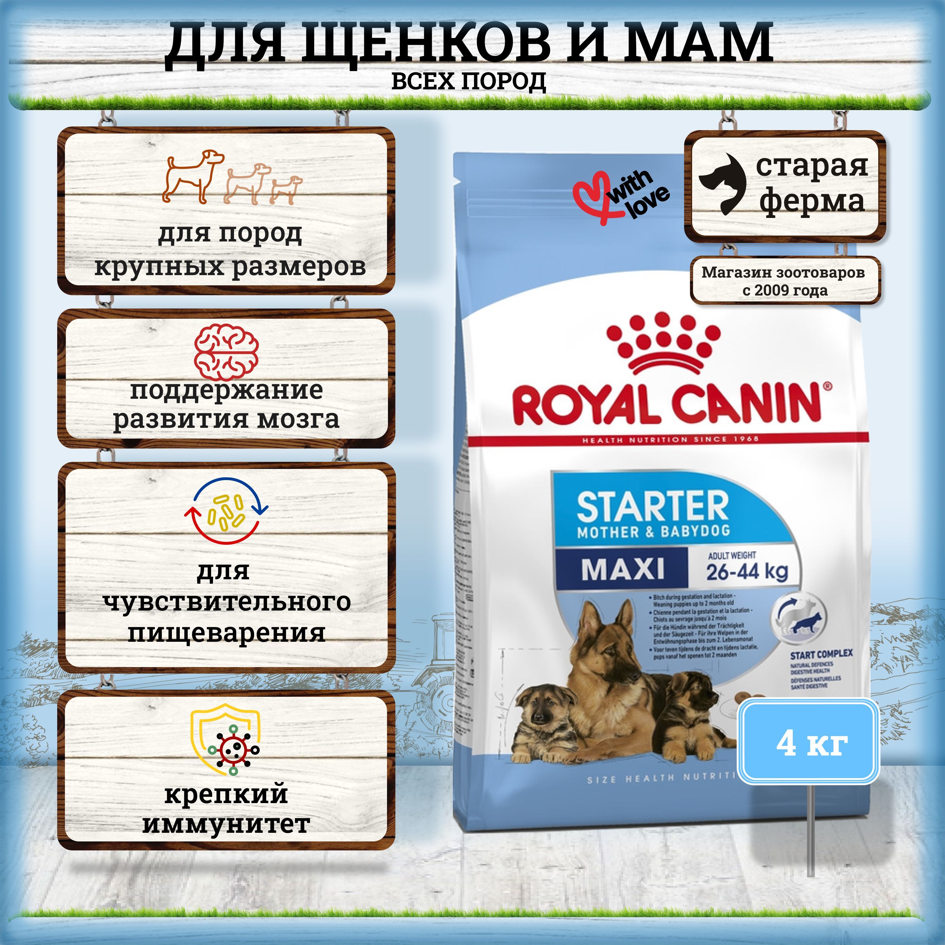 Royal canin maxi store starter