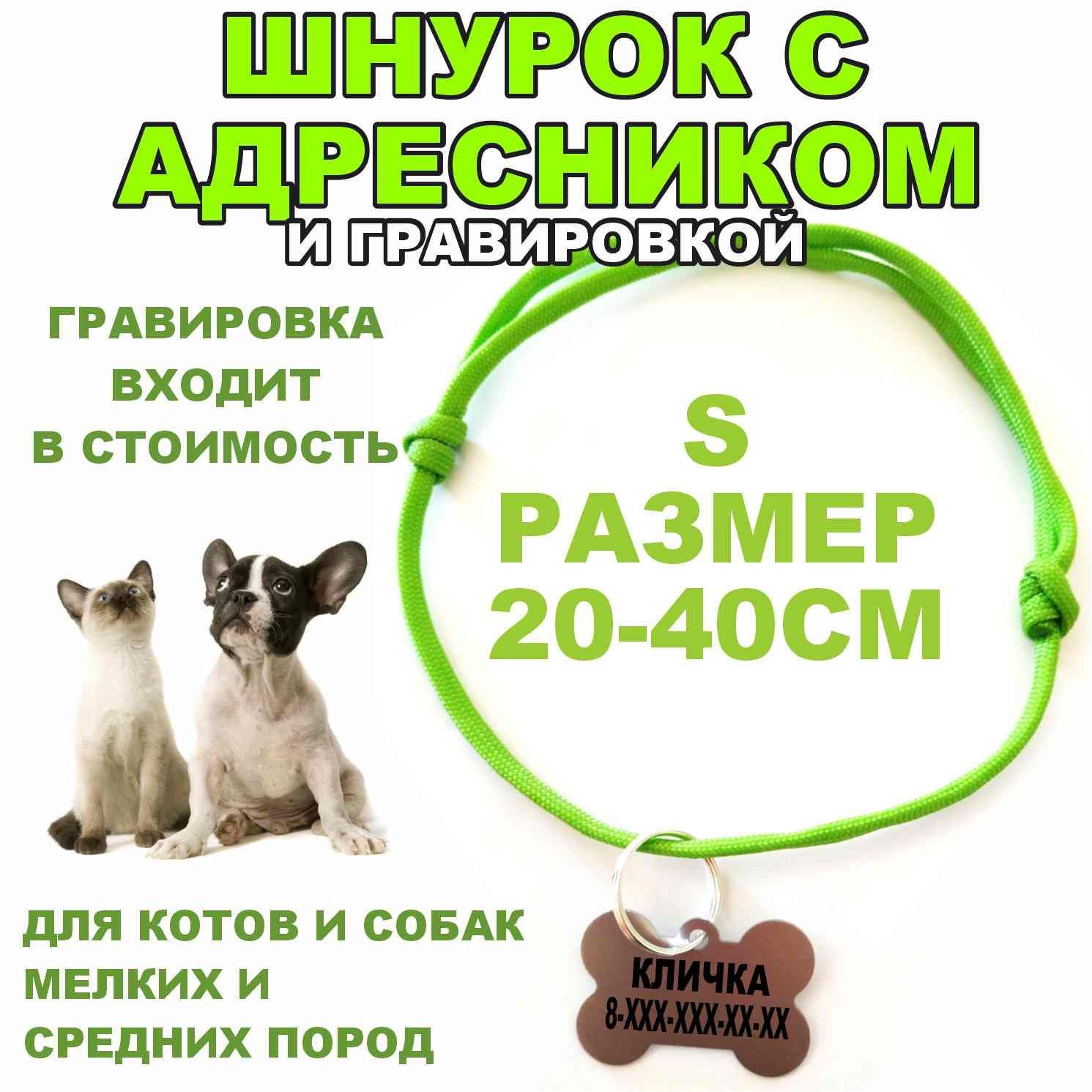 Адресник с гравировкой + шнурок для адресника салатовый, размер S 20-40 см  - купить с доставкой по выгодным ценам в интернет-магазине OZON (998289817)