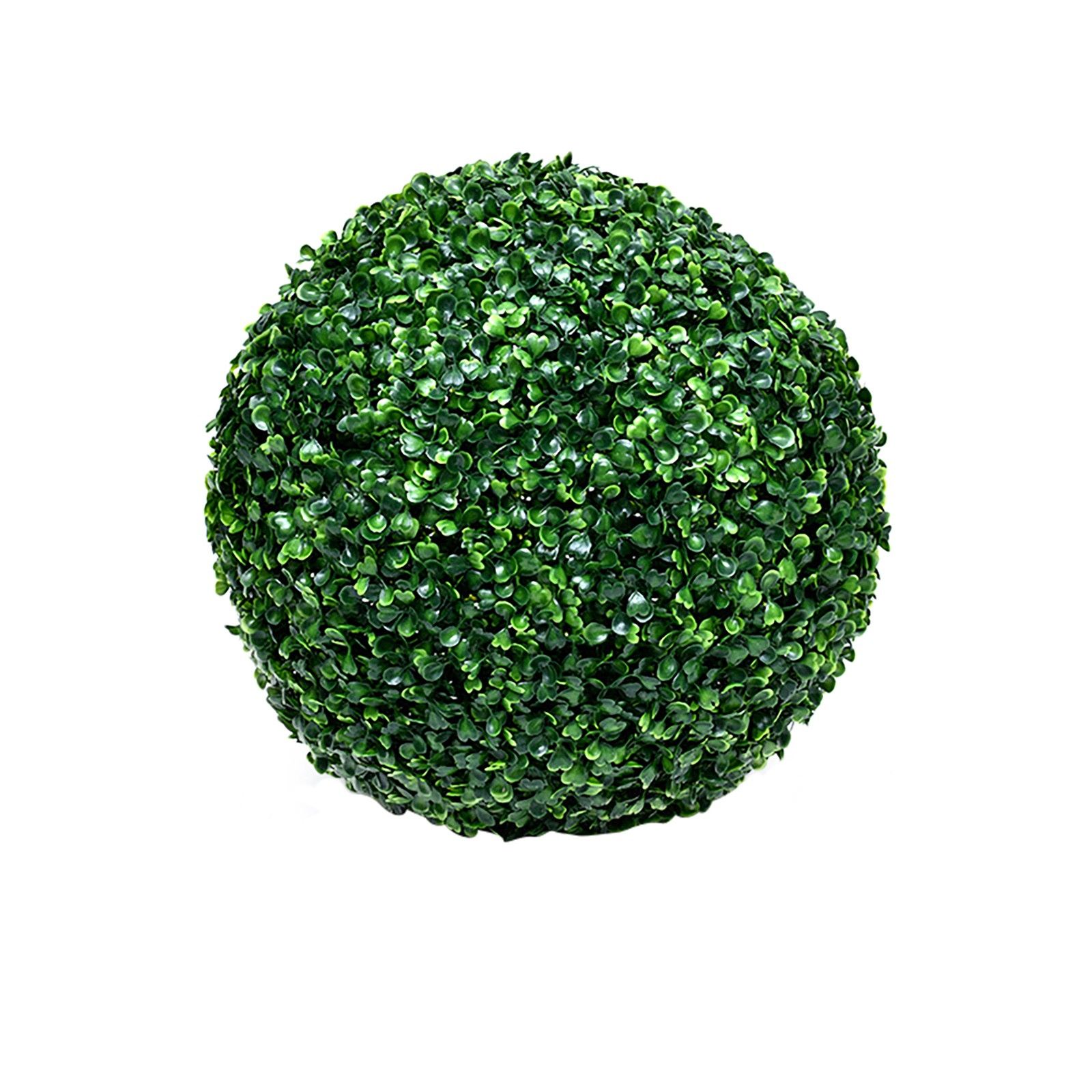 Globe plants. Самшит шар куст. Boxwood Ball. Круглый куст. Шар из травы.
