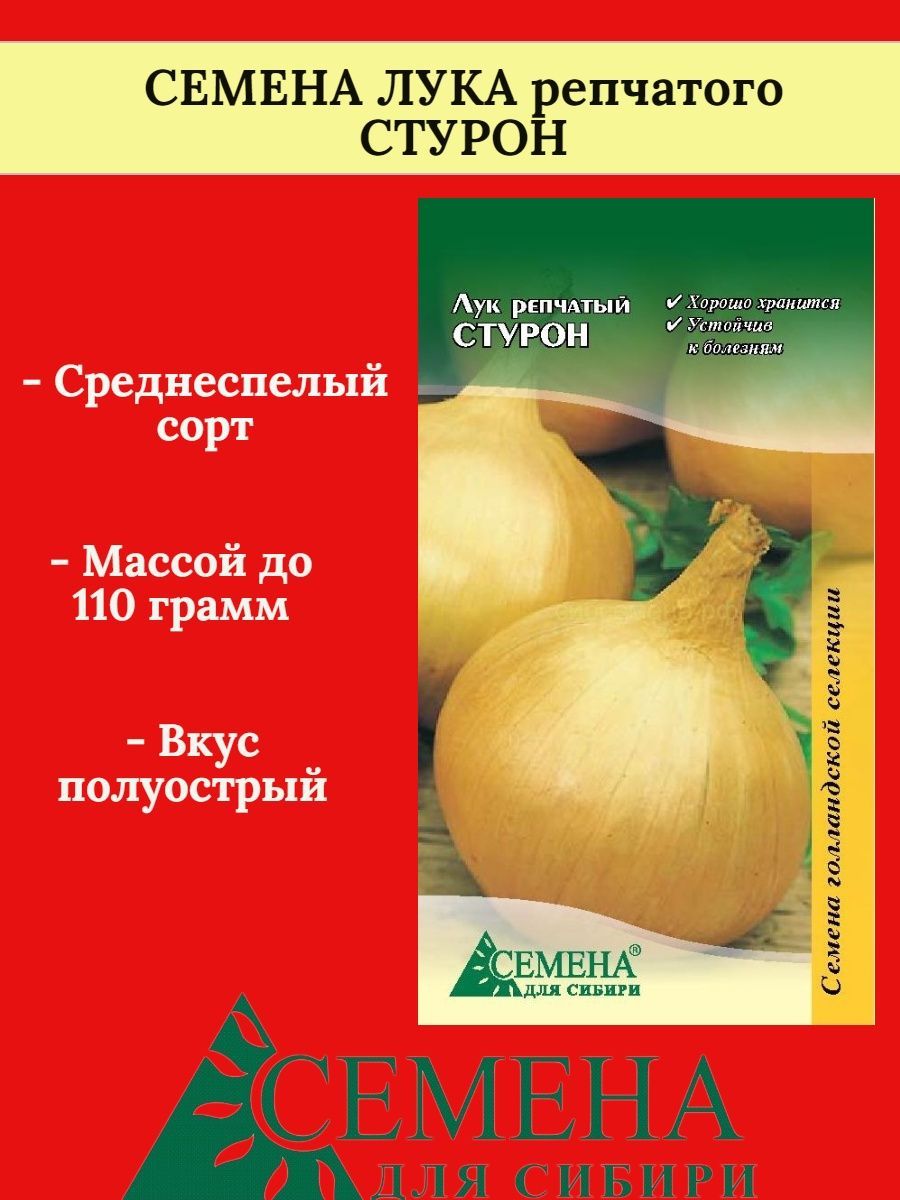 Лук Сибирский сад СибСадЛук_2_батун Параде - купить по выгодным ценам в интернет