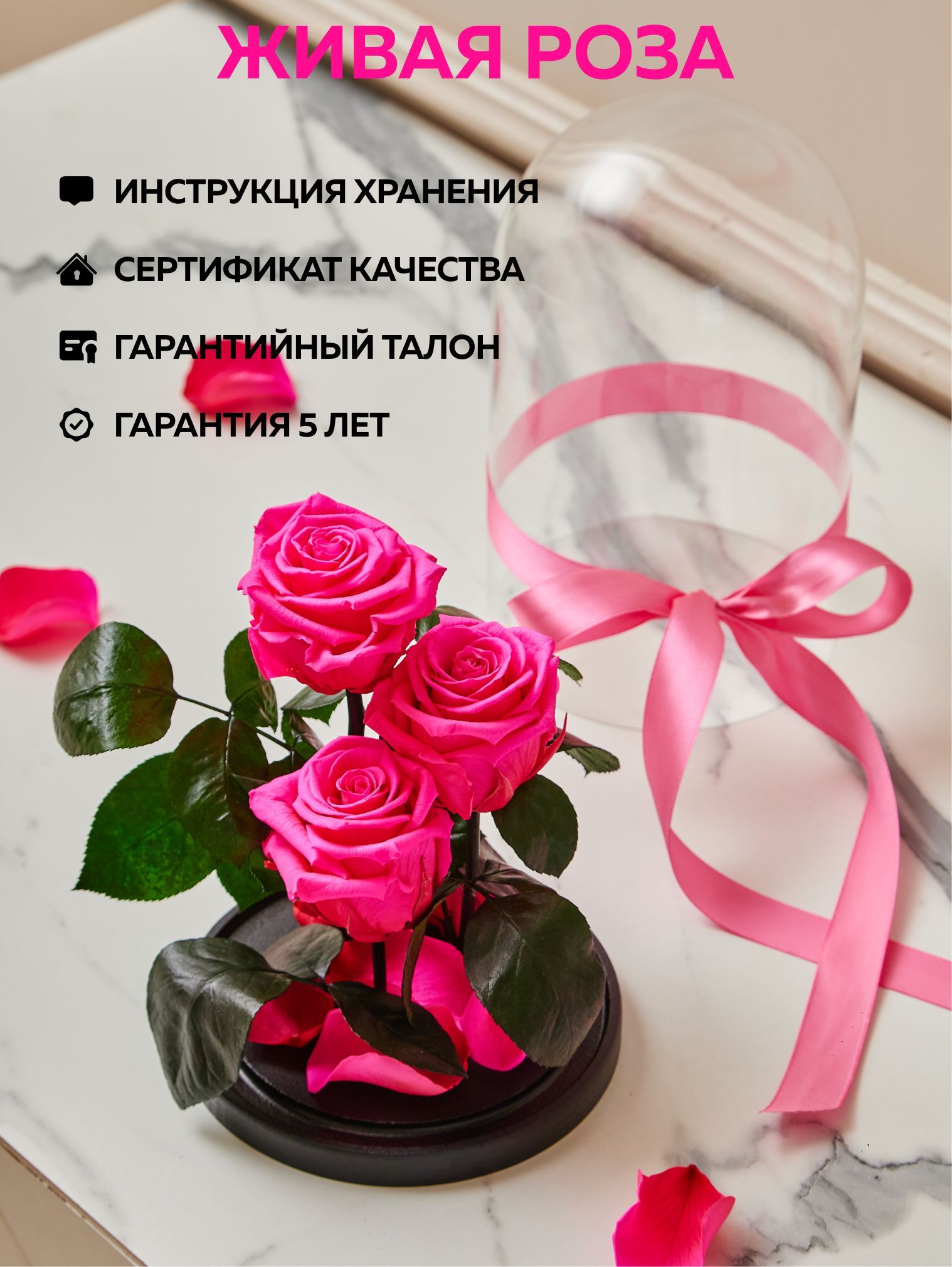 Купить Живые Розы