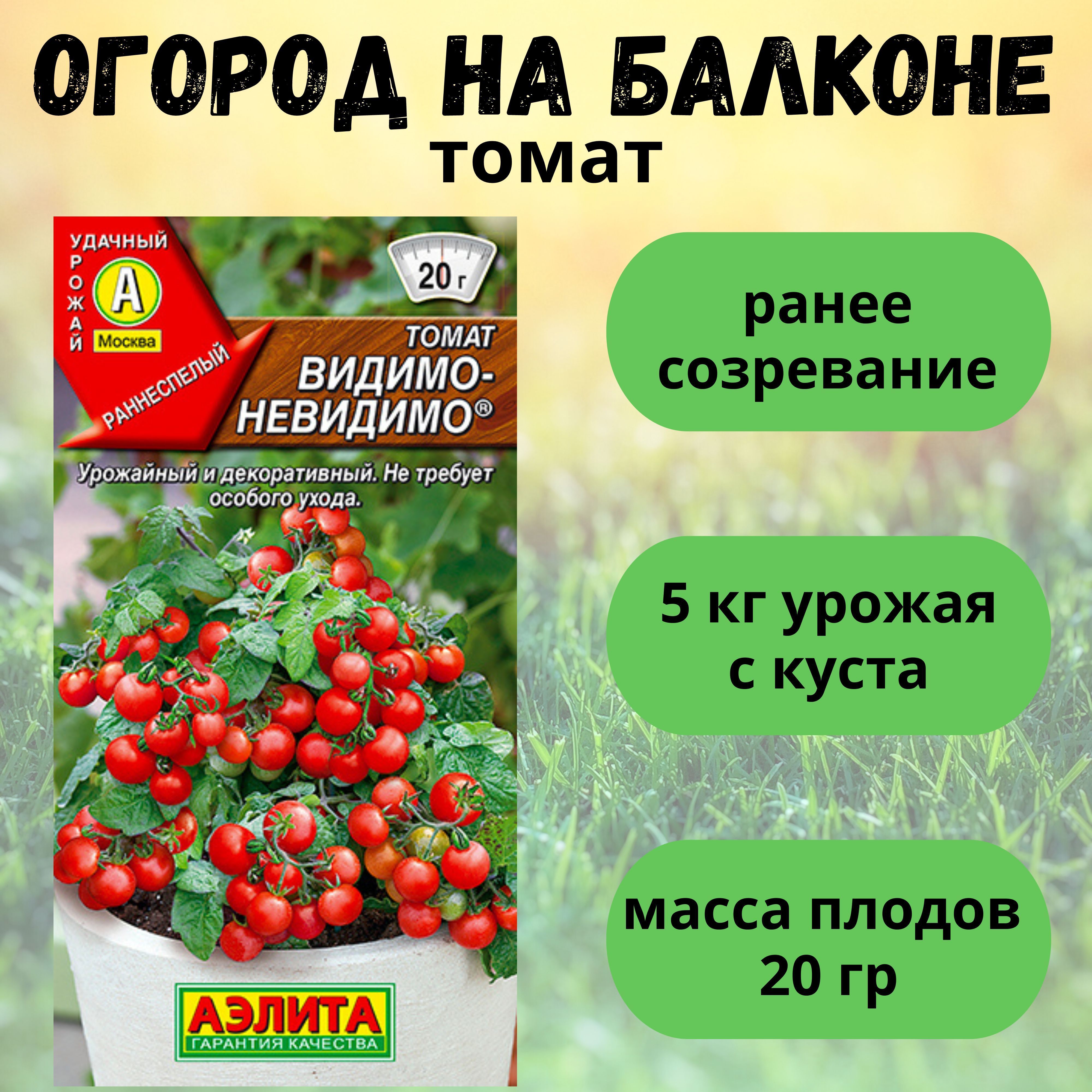 Помидоры сорт видимо невидимо отзывы фото. Томат видимо-невидимо. Черри видимо невидимо. Помидоры черри видимо невидимо.