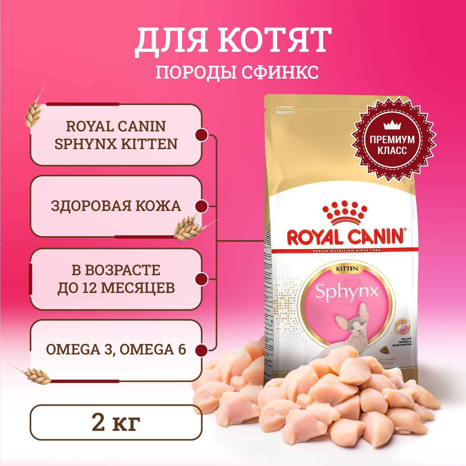 Лучший сухой корм для сфинксов. Лучший сухой корм для сфинксов