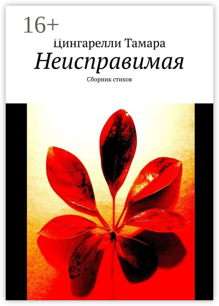 Книга неисправимые