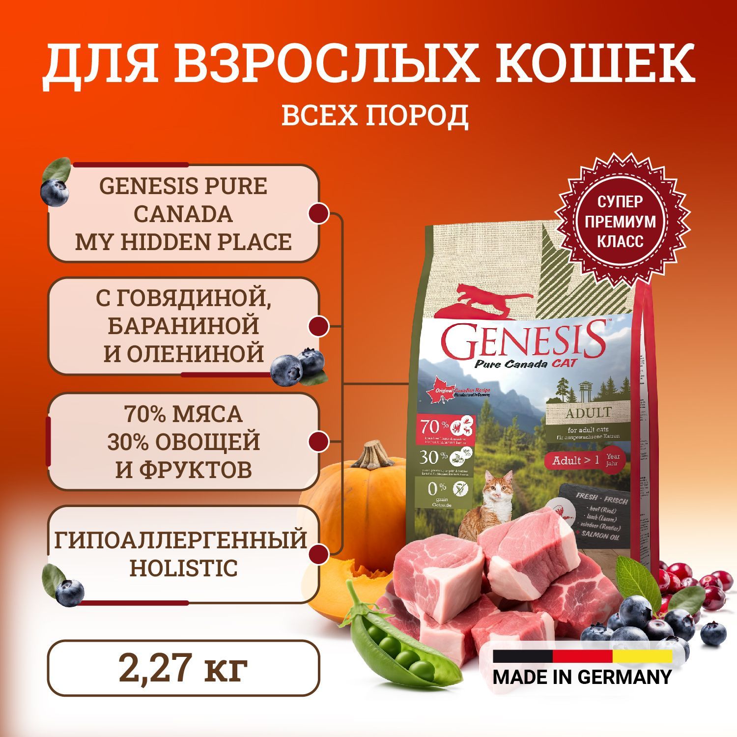 Genesis raw best sale dog food