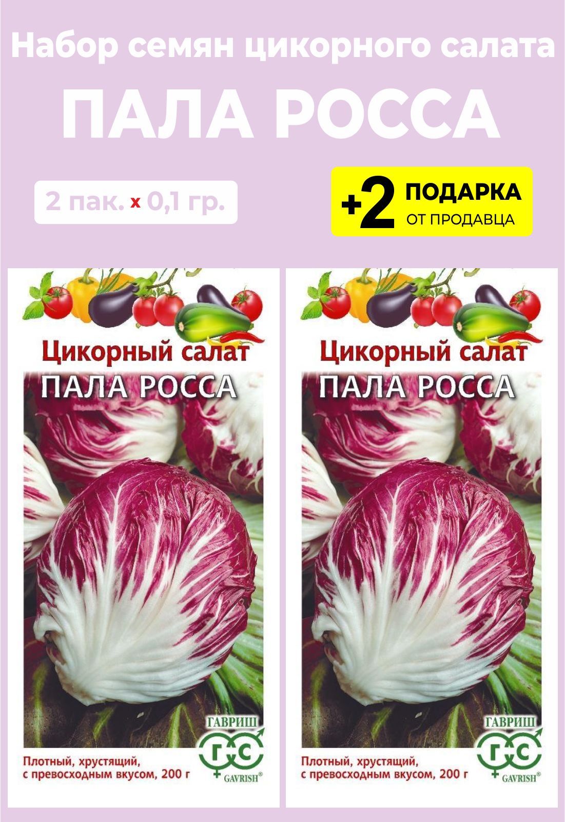 Салат цикорный отзывы. Цикорный пала Росса. Цикорный салат пала. Цикорный салат. Цикорный салат пала Росса выращивание.