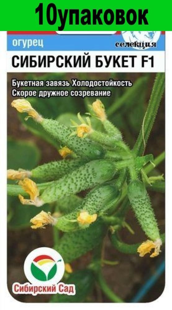 Огурцы сибирский букет описание сорта фото отзывы