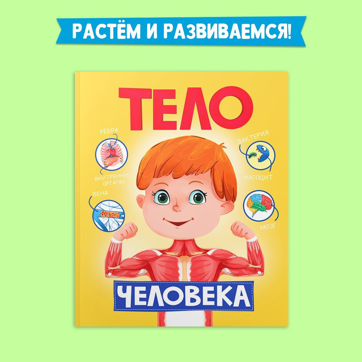 Энциклопедия для детей Тело человека