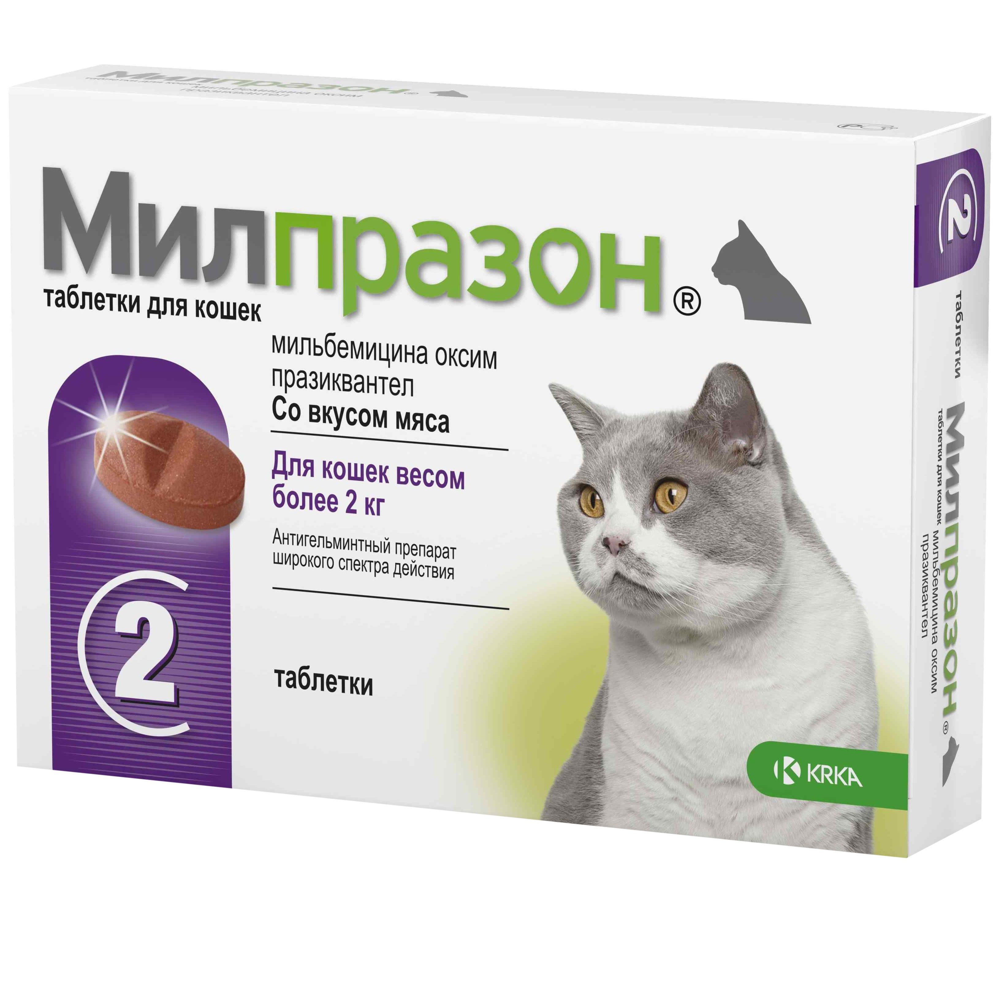 Милпразон для кошек