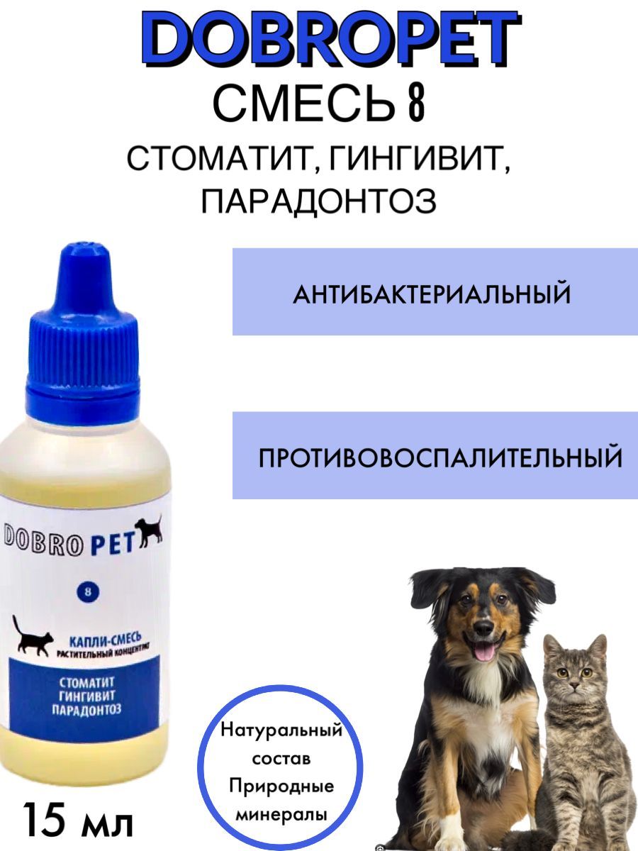 Аутоиммунный стоматит у кошек