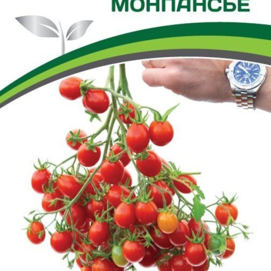 Партнер томат монпансье. Томат кастельяно f1. Черри монпансье. Сорт помидор поцелуй фирма партнер. Партнер томат монпансье.