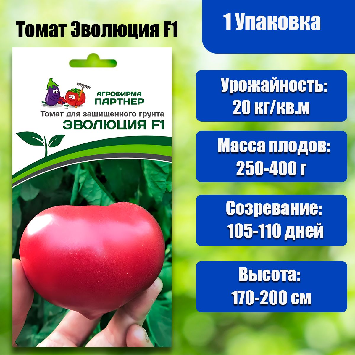 Томат эволюция f1