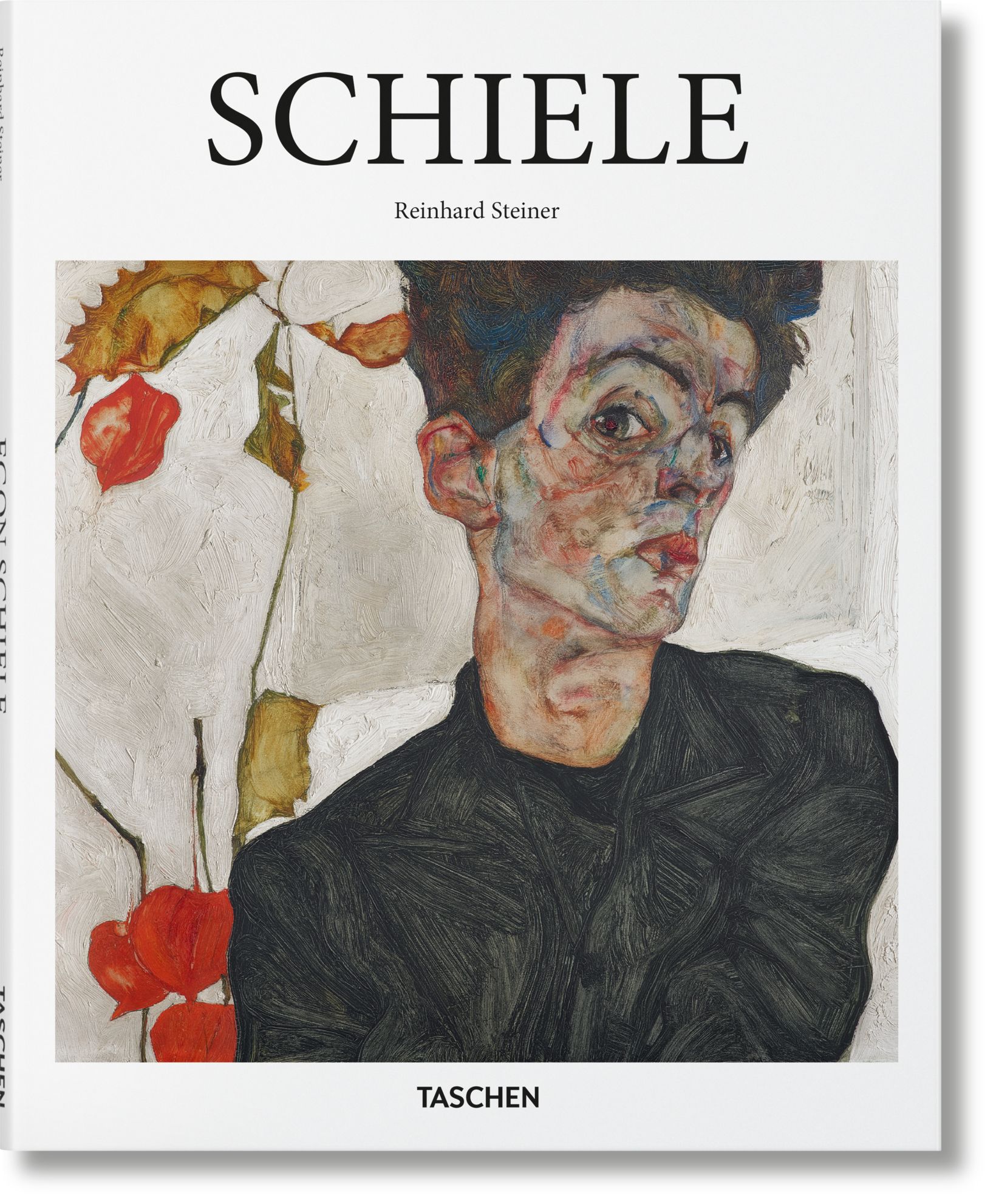 Эгон шиле книга. Egon schiele книга. Эгон шиле книга. Книга schiele. Egon schiele cities.