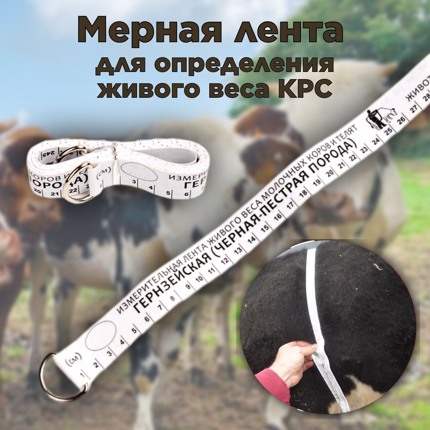 Мерная лента для определения живого веса КРС