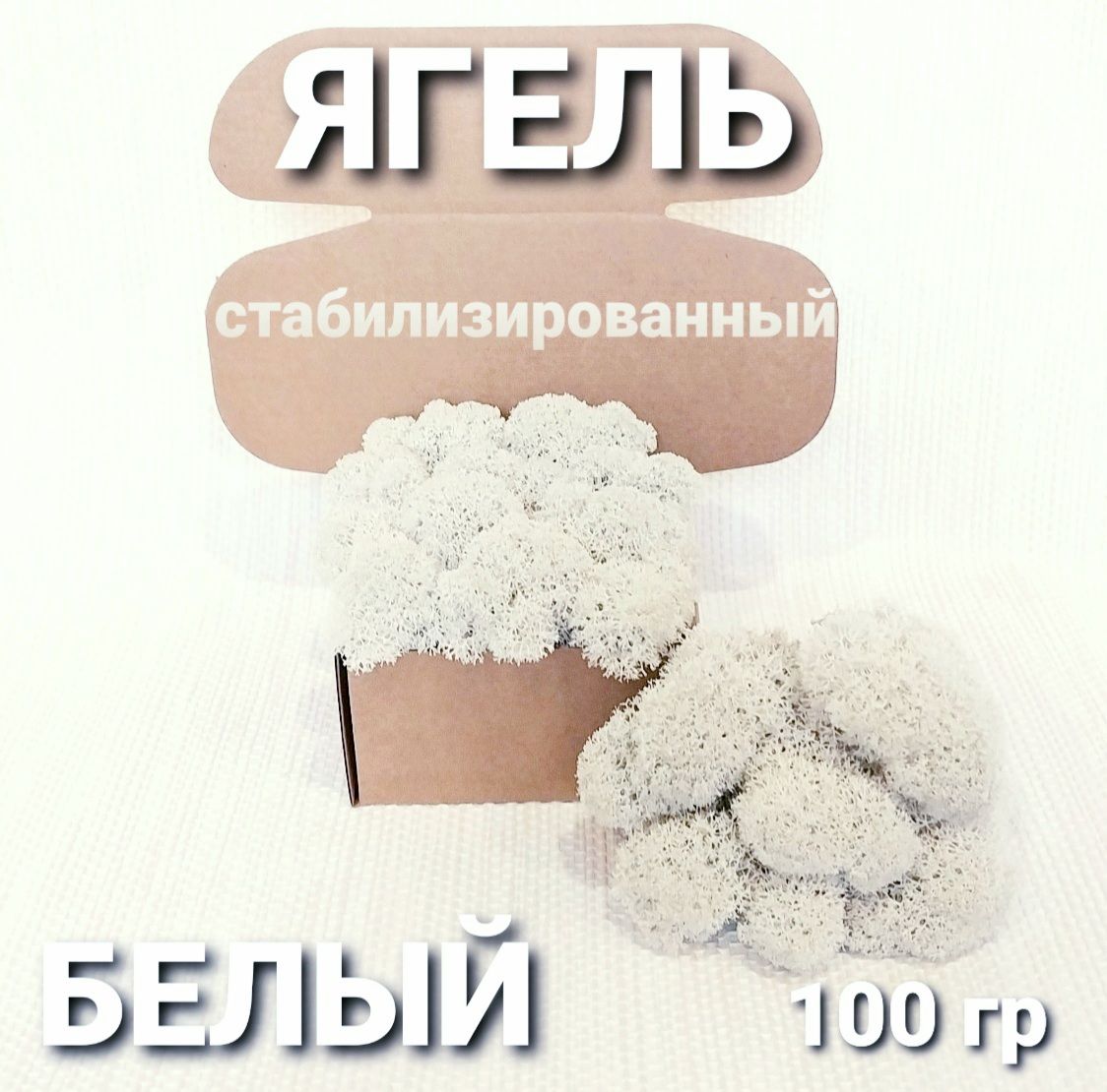 Стабилизированныймох,100гр