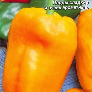 Перец рыжий лис. Перец сладкий рыжий хвост. Братец лис перец болгарский. Перец сладкий рыжий лис. Перец сладкий рыжий лис.