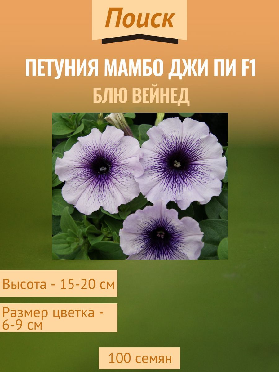 Петуния Мамбо Описание Фото Отзывы