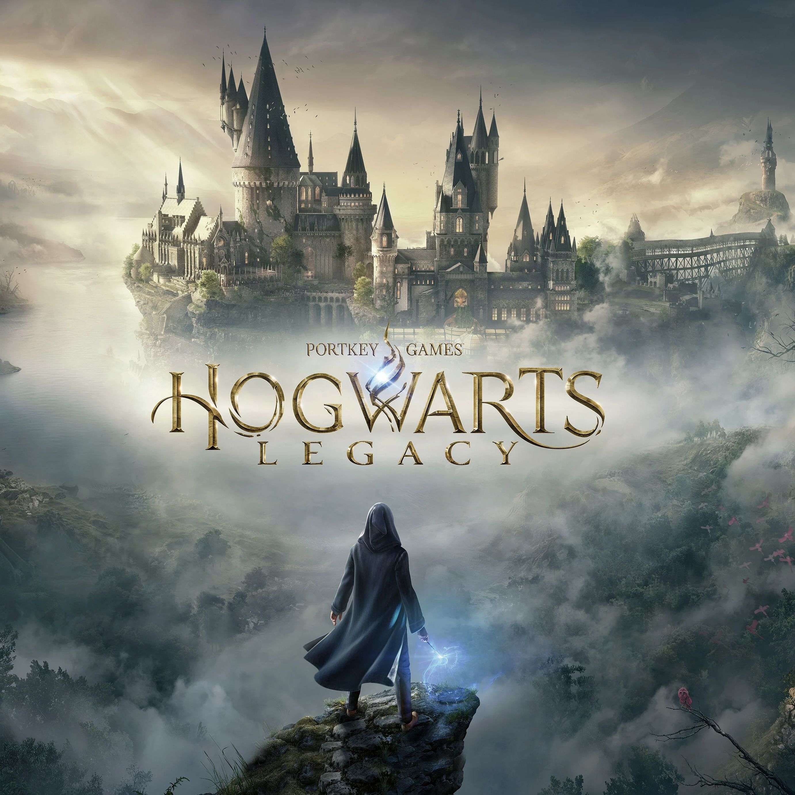 Игра Hogwarts Legacy (PlayStation 5, Русские субтитры) купить по низкой  цене с доставкой в интернет-магазине OZON (1316784926)