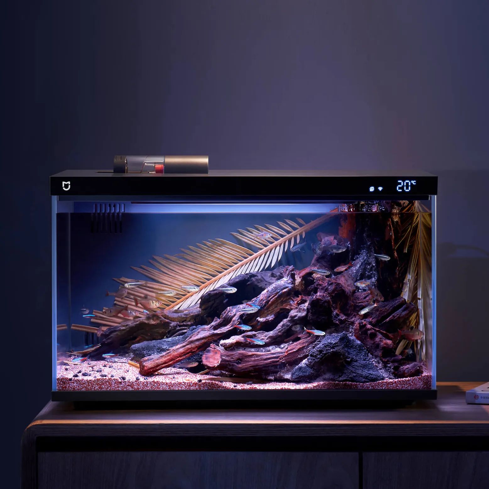 Умный аквариум Xiaomi Mijia Smart Fish Tank MYG100 20L - купить с доставкой  по выгодным ценам в интернет-магазине OZON (1339464773)