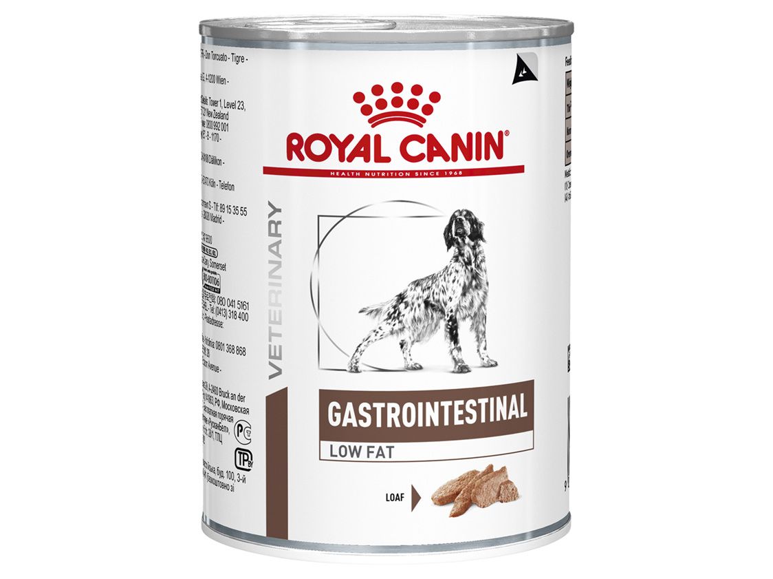 Роял гастро для собак мелких пород. Royal Canin Gastro intestinal Low fat для собак мелких пород. Гастроинтестинал Роял Канин для собак. Royal Canin Gastrointestinal Low fat (паштет). Royal Canin Gastrointestinal для собак Low fat.