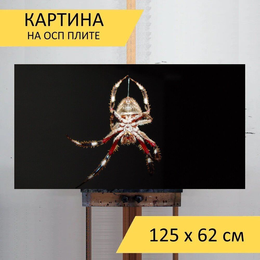 Картина ночи 