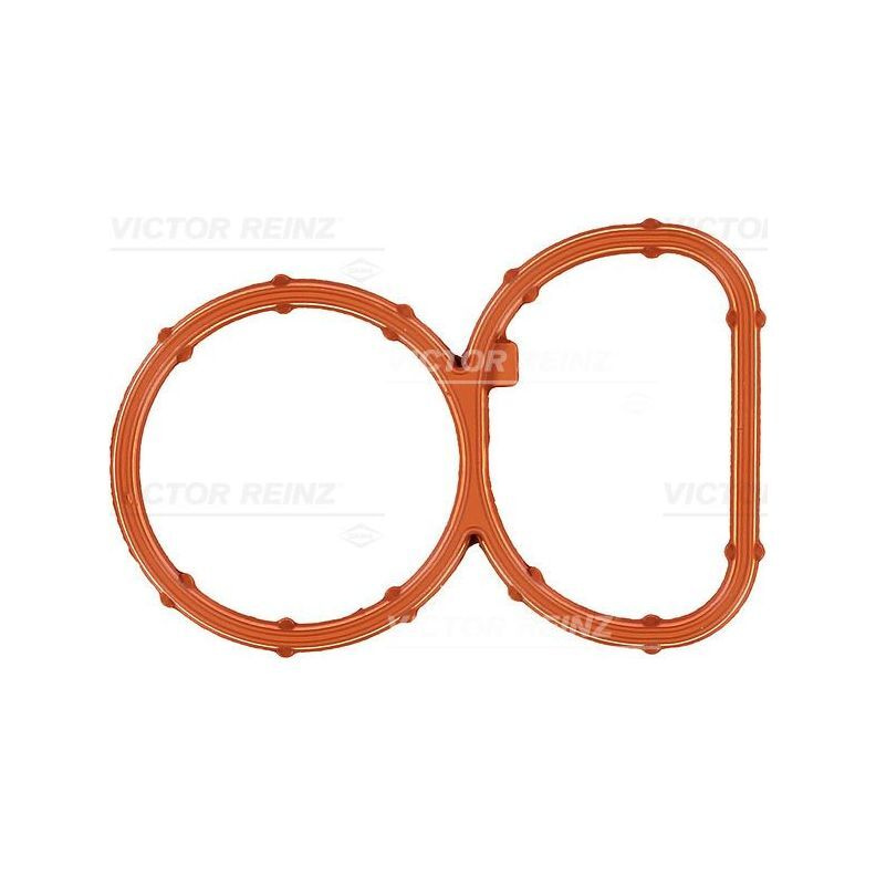 Прокладка впускного коллектора двойная BMW 1(E81)/1(E87)/3(E90)/5(E60) N47D20