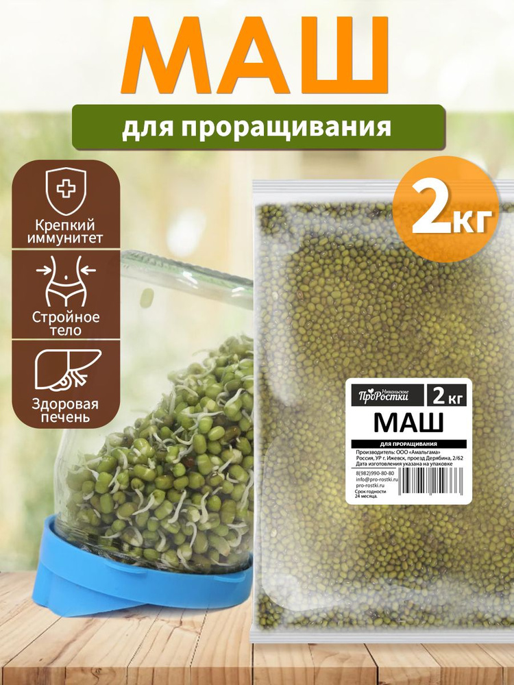 Маш (бобы мунг) для проращивания, 2 кг - купить с доставкой по выгодным ...
