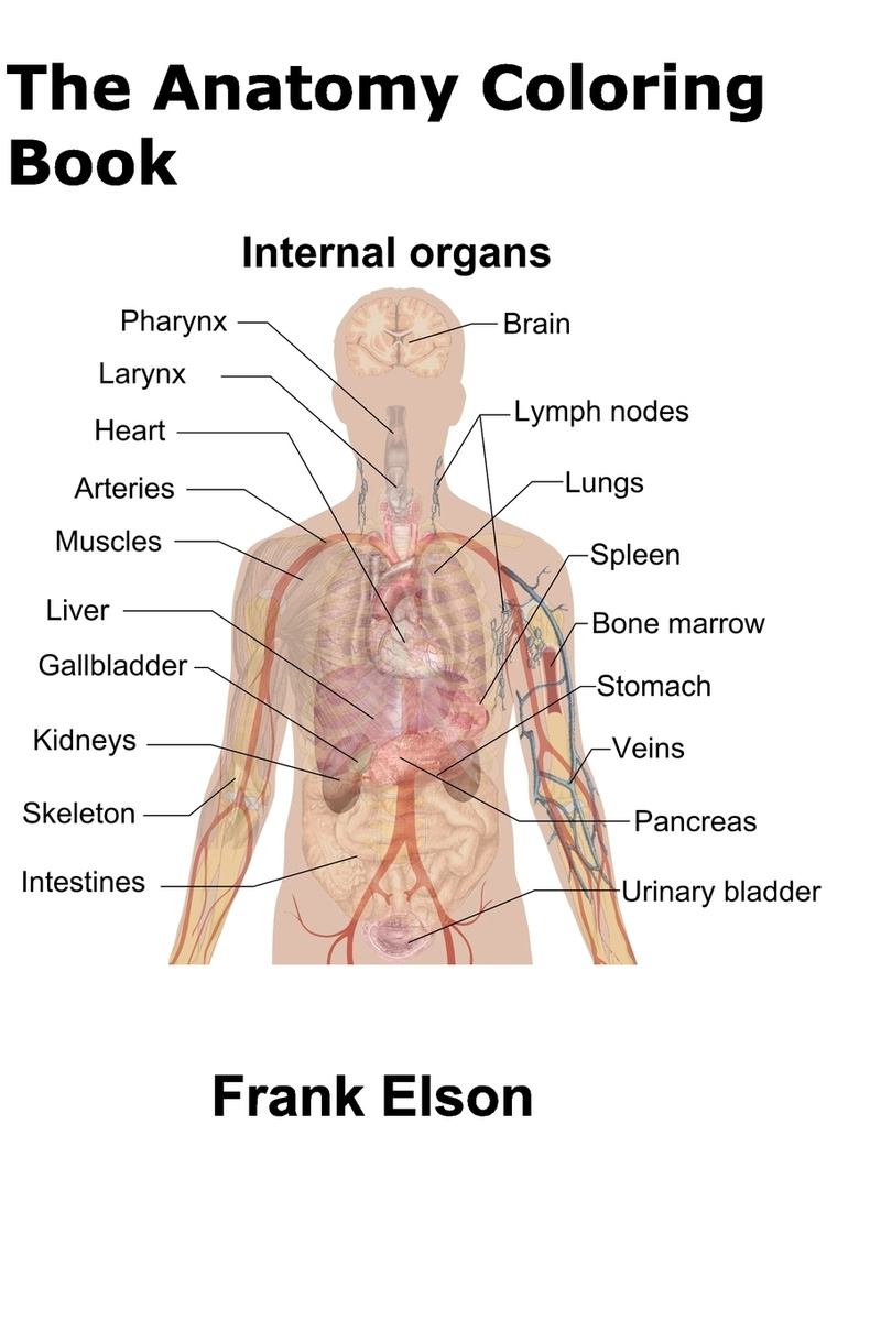 The Internal Organs text for Kids