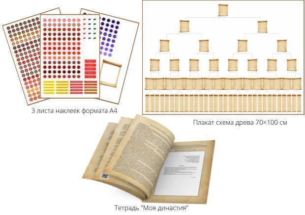Книга "Тетрадь для составления генеалогического древа Моя Династия ...