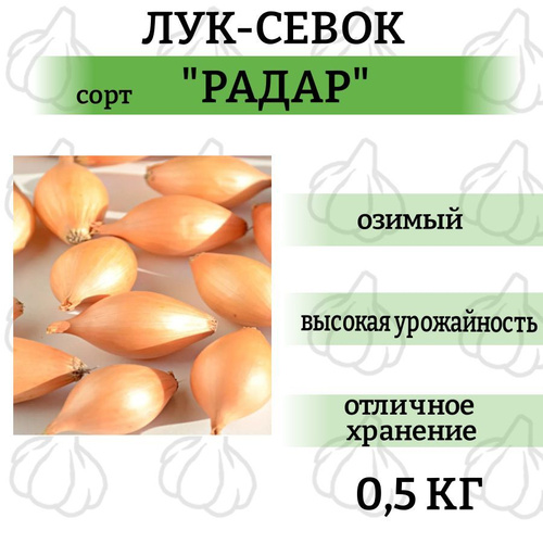 127 отзывов на Лук-севок озимый Радар (0,5 кг). Лучший сорт на посадку отпокупателей OZON