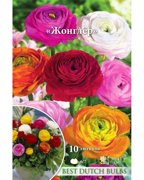 Луковицы Лютик (Ранункулюс садовый) Русский огород купить по выгодной ...