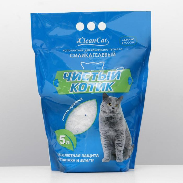 Чистый котик стерлитамак