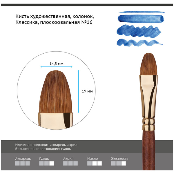 Кисть для рисования Гамма Плоскоовальная №16, 1 шт. - купить с ...