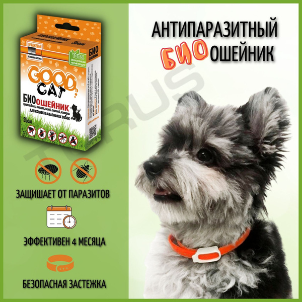 Антипаразитный БИО ошейник для кошек и маленьких собак "GOOD CAT" от ...